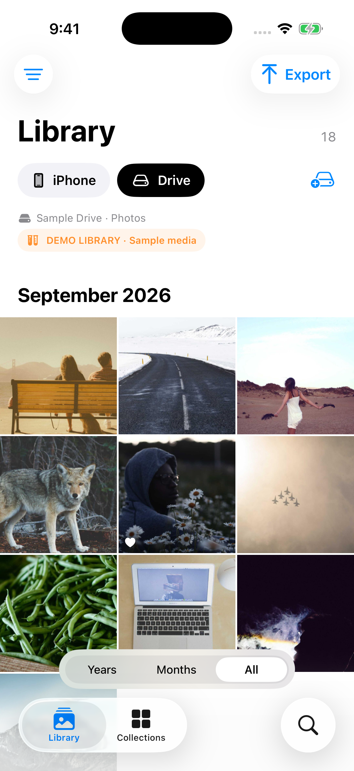 Drive Photos preview: a familiar photo grid, Library and Collections tabs, and an Export button. Sample media shown.